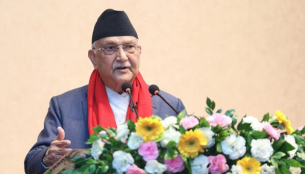 pm oli