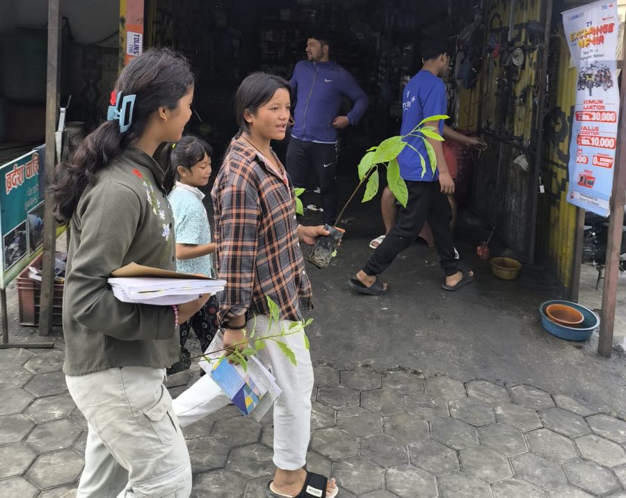 changunarayan city avocardo city