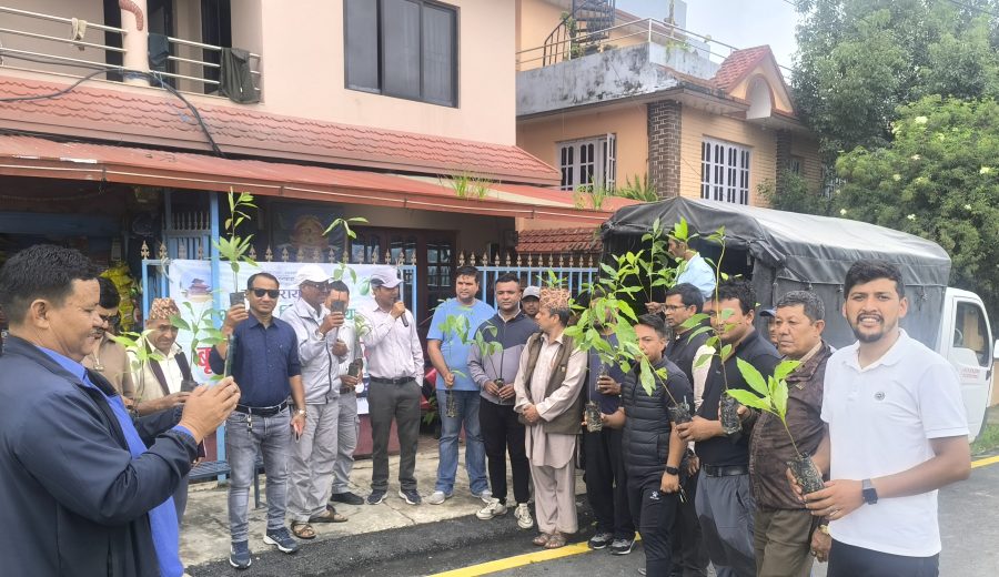 changunarayan city avocardo city