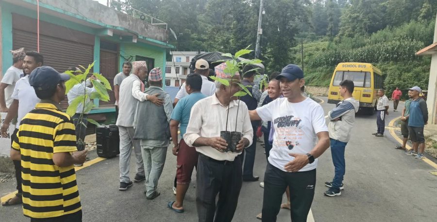 changunarayan city avocardo city