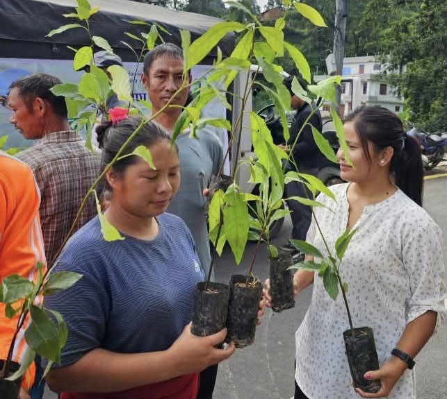 changunarayan city avocardo city