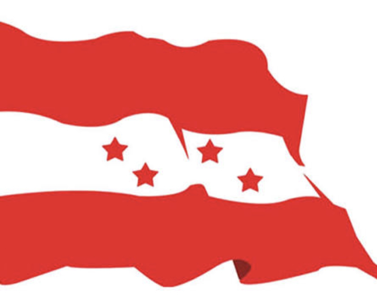 congress flag